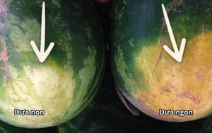 Chỉ mất 5 giây để mua dưa hấu ngon và không bị người bán hàng qua mặt