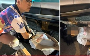 Bác sĩ cứu cô gái gặp nạn giữa đường và dòng chữ sau xe khiến ai cũng nghẹn ngào