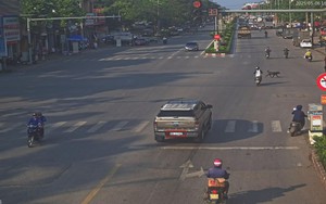 208 xe có biển số sau nhanh chóng nộp phạt nguội theo Nghị định 168