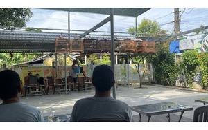 Huế: Khách uống cà phê mang theo chim phải chứng minh nguồn gốc