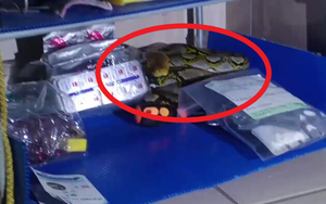 Trời nóng nên để cửa mở rồi đi ngủ cho mát, 3 giờ sáng cặp đôi tỉnh dậy phát hiện cảnh tượng đáng sợ