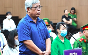 Cùng đồng phạm gây thiệt hại 736 tỉ đồng, cựu thứ trưởng Bộ TN-MT bị đề nghị 30-36 tháng tù treo