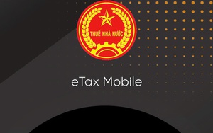 Tạm dừng ứng dụng thuế điện tử từ 23-5 đến 15-6