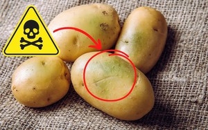 4 loại rau củ đầy độc tố, đã không bổ béo còn phá nội tạng, “cấu kết” với tế bào ung thư nhưng nhà nào cũng có