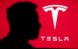 Sức mạnh của Elon Musk: Tuyên bố giảm bớt công việc ở Nhà Trắng để tập trung cho Tesla, cổ phiếu công ty tăng tới 32% chỉ sau 1 tháng