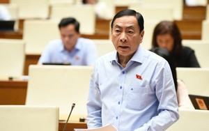 Đại biểu Quốc hội: Việc bắt nguyên cục trưởng an toàn thực phẩm 'được nhân dân ủng hộ'