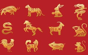 Cuối tháng 4 âm có 2 con giáp cần tận dụng thời cơ tốt để làm giàu, 1 con giáp chuẩn bị đón tin vui