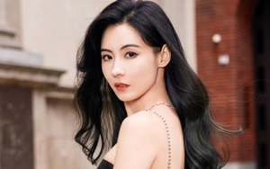 Trương Bá Chi tốt thế nào mà Tạ Đình Phong khen hết lời, bố chồng để lại cho 90% tài sản ?