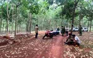 Bàng hoàng phát hiện thi thể nam giới treo lơ lửng trên cây cao su