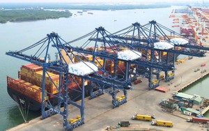 Cảng biển Việt Nam đón thành công một siêu tàu đang trên hải trình đến Bờ Tây Hoa Kỳ