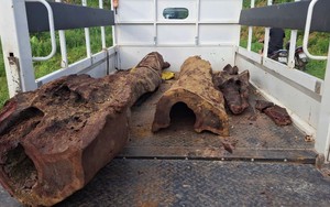 ‘Khối vàng’ bị vùi lấp dưới suối ở Quảng Bình sẽ được xử lý thế nào?