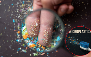 Không ai ngờ: Mỗi năm người Việt nuốt 49.000 hạt vi nhựa từ vật dụng quen thuộc này