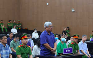 Cựu thứ trưởng Nguyễn Linh Ngọc lĩnh 3 năm tù