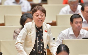 ĐB Phạm Khánh Phong Lan: Thanh tra mà "rầm rộ" thì không còn yếu tố "bất ngờ"