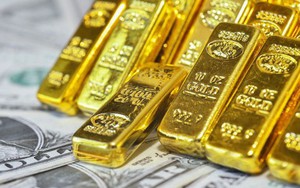 Nhiều người tin rằng vàng và bất động sản là 2 khoản đầu tư dài hạn tốt nhất, chuyên gia nước ngoài: “Họ đã sai!”