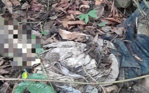 Phát hiện bộ hài cốt dưới vực sâu đèo Bảo Lộc