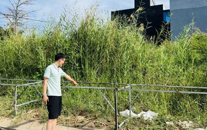 Đất nền tỉnh tăng giá như “lên đồng”