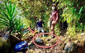 Lần theo tiếng động trên đám rêu ẩm ướt, cán bộ kiểm lâm hân hoan tìm thấy loài "tuyệt chủng" hơn 40 năm