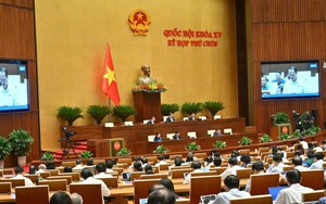 Chủ tịch UBND tỉnh bị kiện nhưng không đến tòa, khắc phục ra sao?