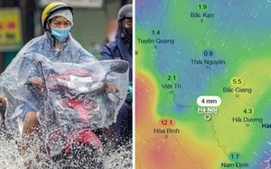 Miền Bắc sắp đón đợt gió Đông Bắc nữa, dự báo Hà Nội lại mưa dông