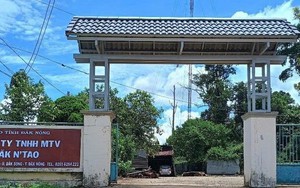 Nhiều cán bộ kiểm lâm, bảo vệ rừng bị tấn công, 1 phó giám đốc trọng thương