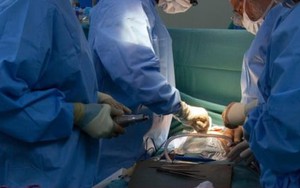 Quảng cáo việc dễ lương cao ở Campuchia gây sợ hãi khi đòi ‘nội tạng phải sạch’