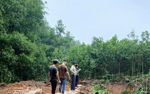 Hà Nội: 'Đất tặc' ngang nhiên phá hoại cây trồng của người dân, xúc trộm hơn 500m3 đất