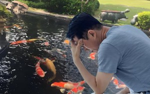 Cho hàng xóm gửi nhờ cá cảnh, 3 ngày sau cả đàn cá quý trị giá 930 triệu đồng lăn ra chết, người đàn ông khởi kiện, tòa tuyên bố: Lỗi tại người gửi