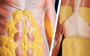 Video hơn 8 triệu lượt xem chỉ ra thay đổi của cơ thể khi nhịn ăn 36 giờ khiến nhiều người "sốc"