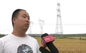 Vay 360 triệu đồng nhưng không trả, người đàn ông bị chủ nợ khởi kiện, tòa án: Anh không cần trả bằng tiền