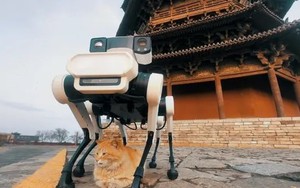 Robot chó 6 chân bảo tồn chùa gỗ cổ nhất, cao nhất thế giới