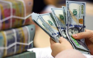 Vì sao đồng đô la suy yếu mạnh trên thị trường quốc tế nhưng vẫn tăng giá so với VND?