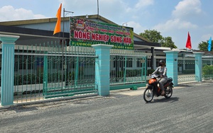 Nhiều vi phạm tại Nông trường Sông Hậu, Nông trường Cờ Đỏ