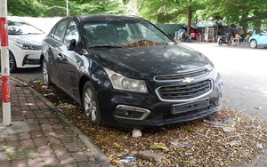 Ô tô đỗ cả năm ngoài đường không ai nhận, mọc cả cây trên kính xe ở TP.HCM: Nguồn cơn được hé lộ