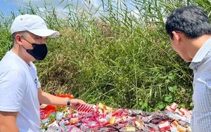 Giám định nguồn gốc lô thuốc, thực phẩm chức năng đổ trộm tại TPHCM