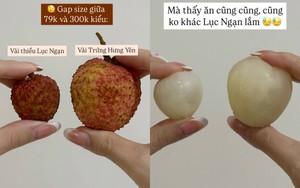 Vải trứng Hưng Yên: "To thì có to, nhưng thua vải thiều?"