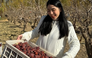 Sự lụi tàn của trend táo đỏ: Bạn đã đổ bao nhiêu tiền vào đây rồi?