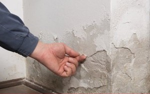 Cách xử lý tường bị ẩm mốc, bong tróc