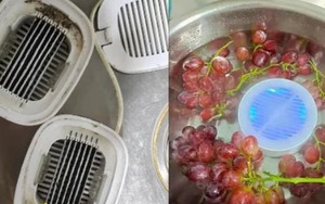 4 món đồ gia dụng từng hot rần rần, dân tình đổ xô mua: Giờ hết trend, biến thành trò cười!