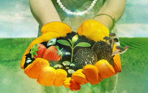 Trả 78 triệu đồng/đêm để về quê hái rau, vắt sữa bò, trải nghiệm nông thôn đang trở thành xa xỉ phẩm đem ra kinh doanh, khách nườn nượp xếp hàng vì ‘đáng đồng tiền bát gạo’