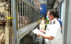 Hà Nội: Liên ngành đột xuất kiểm tra Công ty C.P trong đêm