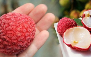 Dấu hiệu nhận biết quả vải bị sâu đầu, chỉ cần liếc mắt nhìn là nhận ra, không ai lừa nổi mình!