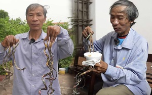 “Dị nhân” Nam Định nuôi móng tay 35 năm không cắt lên tiếng về thông tin muốn bán bộ móng với giá 7 tỷ