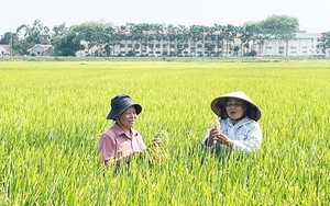 Ưu tiên đầu tư công nghệ sinh học trong nông nghiệp