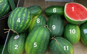 Trong 10 quả dưa hấu, đâu là quả ngọt, mọng nước nhất? Chat GPT đưa ra câu trả lời bất ngờ