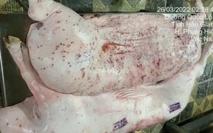 Vụ Công ty C.P. bị tố bán “thịt bẩn”: Tiết lộ hướng xử lý cán bộ đóng dấu kiểm dịch sai trên heo bệnh