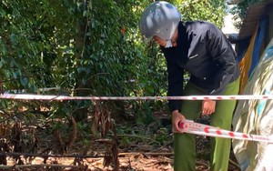 Xuất hiện 'hố tử thần' chưa xác định độ sâu trong vườn nhà dân ở Quảng Trị