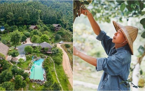 Nam NSƯT một mình chăm con nhỏ trong nhà vườn 10.000m2 ở Hà Nội, U60 không ngại cưới vợ lần 2