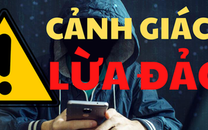 Bị lừa đảo hơn 434 tỉ đồng, nữ chủ doanh nghiệp tố giác gì đến công an?