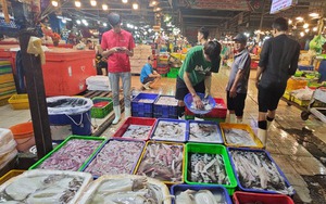 Bộ Tài chính: Có hộ kinh doanh hải sản tươi sống đạt doanh thu gần 560 tỉ đồng